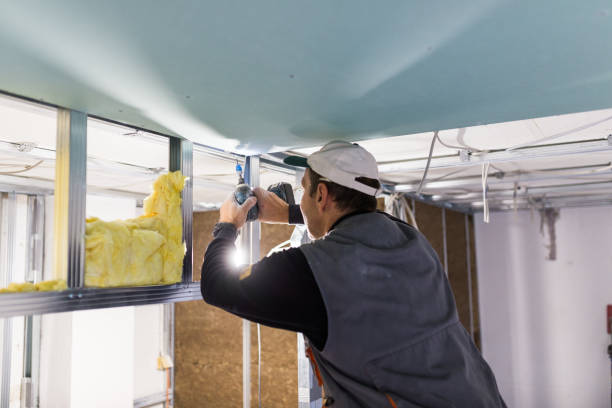 Best Energy Efficiency Insulation in Osceola, MO