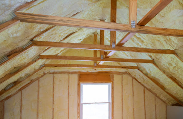 Best Eco-Friendly Insulation in Osceola, MO