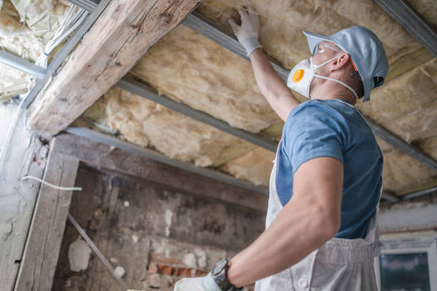 Best Insulation Maintenance and Repair in Osceola, MO