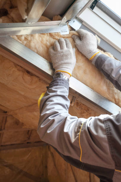 Best Eco-Friendly Insulation in Osceola, MO